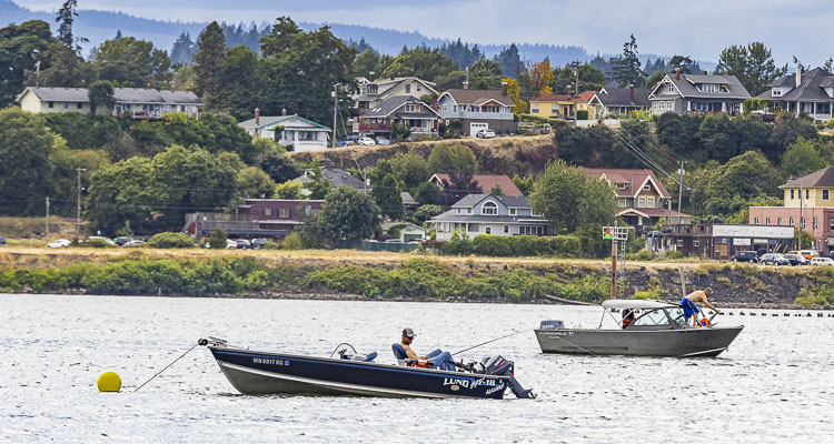 Chinook retention will close on the mainstem from Buoy 10 near the mouth of the river to the Highway 395 bridge in Pasco beginning Oct. 8.