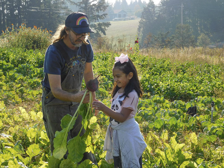 Union Ridge 2nd grader Mia Morales harvests a large beet at Full Plate Farm. Photo courtesy Ridgefield School District