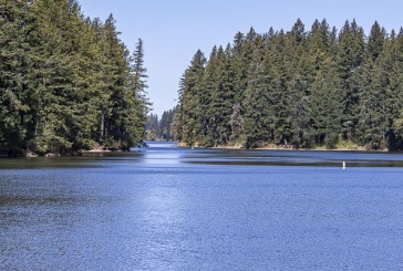 Public Health lifts danger advisories at Lacamas, Round Lakes after water quality improves