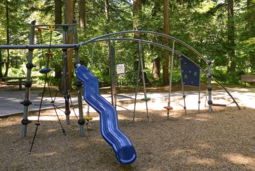 Playground and trail at Orchards Community Park closed beginning Nov. 28 for hazardous tree removal