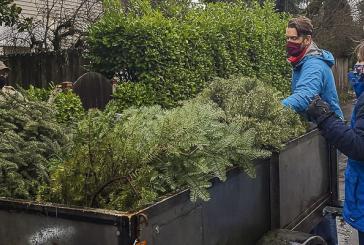 Area residents can reduce holiday waste by recycling Christmas trees