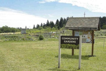 Community invited to share feedback and ideas about the future of the county’s 78th Street Heritage Farm