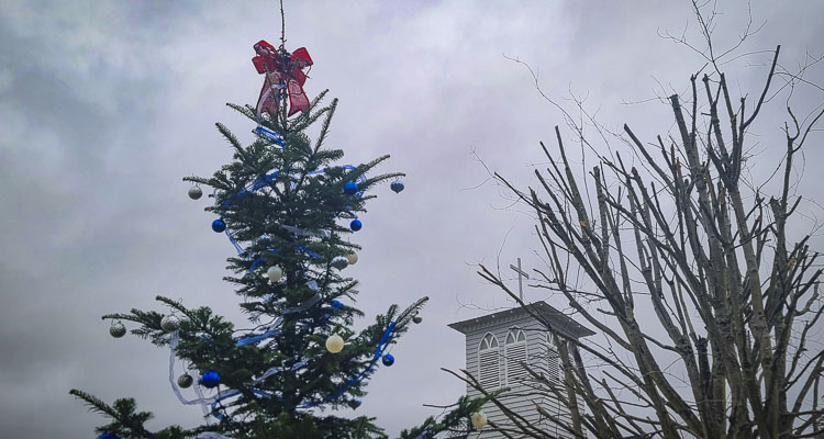 A tree courtesy of Thornton’s Treeland stands tall in front of Hockinson Community Church. On Friday, the community will hold a lighting ceremony. Photo by Paul Valencia