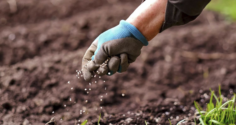 Photo courtesy of Shutterstock.com