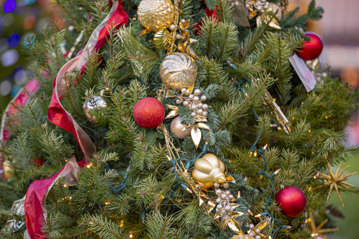 Ridgefield celebrates start of holiday season