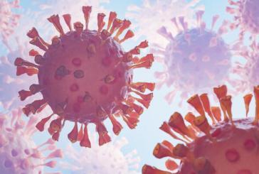 Medical expert warns mutating COVID-19 virus would be criminal