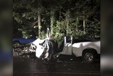 Driver of stolen vehicle dies following single-vehicle collision