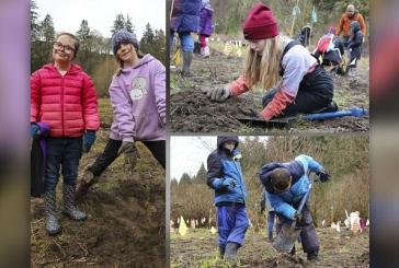 Hockinson School District, Lower Columbia Estuary Partnership native shrub planting lessons inspire young students