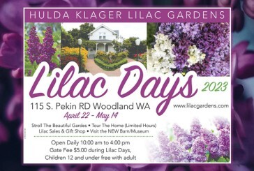 Lilac Days 2023 and Plant Sale set for April 22 through May 14