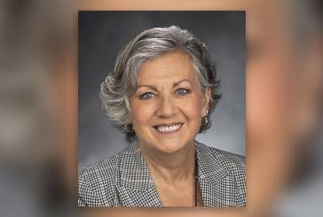 Sen. Lynda Wilson says Senate bill on pursuits falls short, votes no