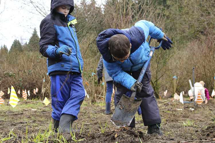 AJ Miller and Timothy Lindelien, students at Hockinson Heights Elementary School, prepare a planting site at the Burnt Bridge Creek Greenway. Photo courtesy Hockinson School District