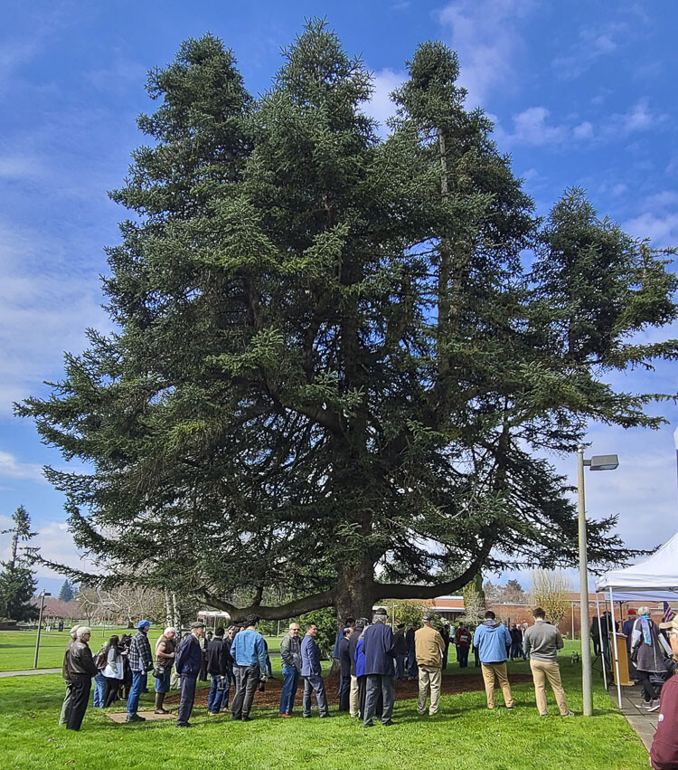 The mayor of Vancouver and other guests dedicated this tree on the campus of Clark College as a witness tree for Vietnam Era veterans. Welcome home. Photo by Paul Valencia
