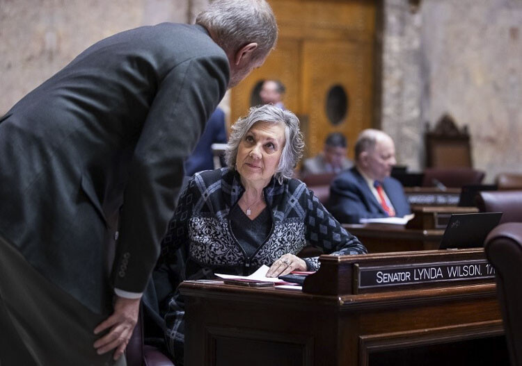 Sen. Lynda Wilson. Photo courtesy Senate Republican Caucus
