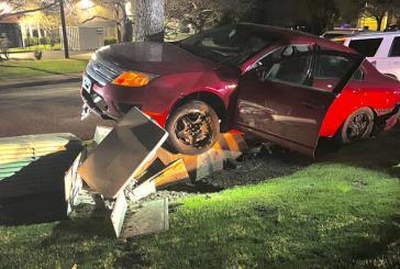 Suspected impaired driver crashes stolen car, leads police on foot chase in Orchards