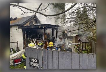 Two adults transported to area hospital after early morning house fire