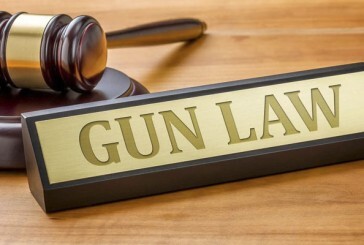 ‘It is going to get struck down’: Washington Legislature passes gun ban