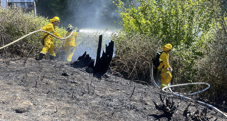 Clark County has implemented a ban on land clearing and residential burning until further notice due to recent fires and an abundance of caution, although recreational fires will still be allowed. The Fire Marshal also is rescinding all burning permits issued prior to the ban.