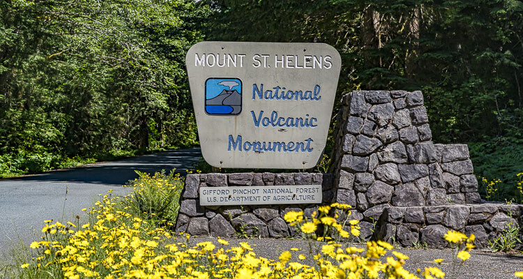 Cleanup work will begin this summer to stabilize slopes, clear debris, and restore connectivity on State Route 504 at Mount St. Helens following the South Coldwater Slide, but public access to the Johnston Ridge Observatory will not be restored this summer season.