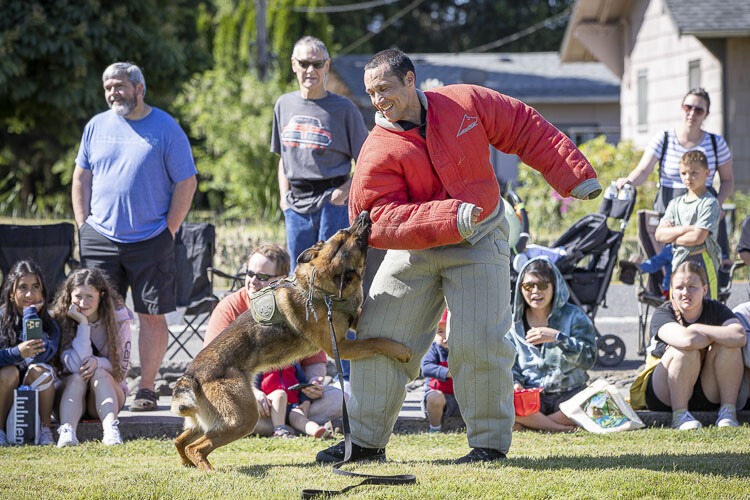Vancouver Police Department K9 handler Rocky Epperson provided a demonstration at Hockinson Fun Days Saturday. Photo by Mike Schultz