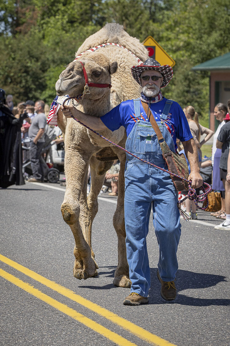 Jeff Siebert and Curly The Camel are always a hit at area parades and community festivals. Photo by Mike Schultz