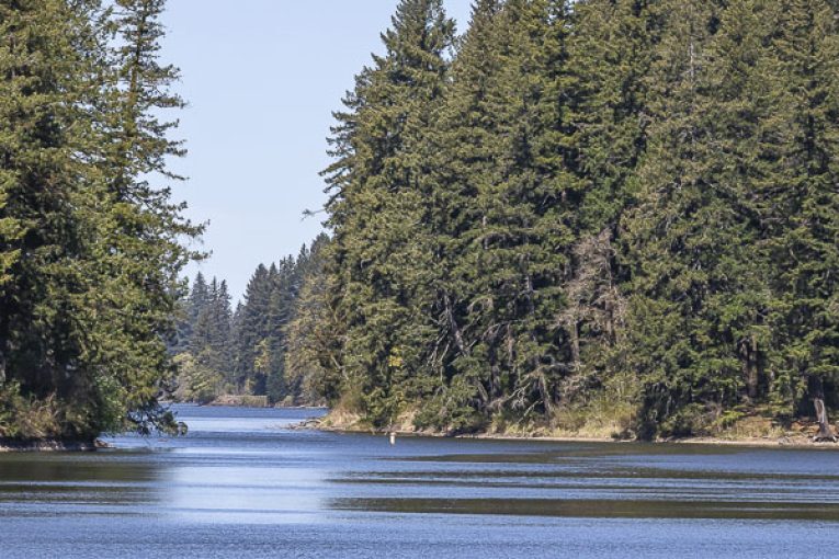 Public Health issues warning for Lacamas Lake due to elevated toxin levels
