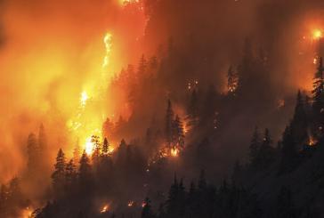 GoFundMe raising money for those affected by wildfires