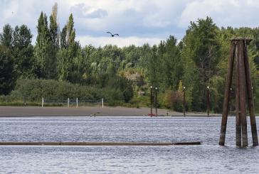 Public Health issues warning for Vancouver Lake due to elevated toxin levels