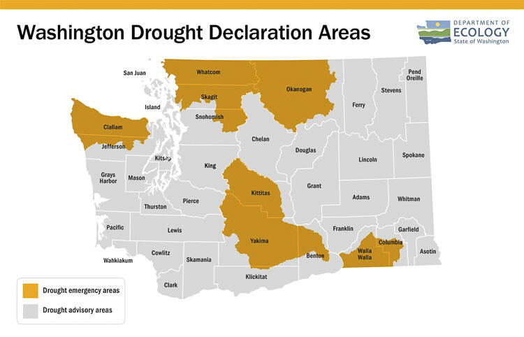 Drought declared for 12 watersheds in parts of Skagit, Whatcom, Clallam, Kittitas, Yakima, Snohomish, Jefferson, Walla Walla, Columbia, Okanogan, Benton, and Klickitat counties. Image courtesy of the Washington State Department of Ecology