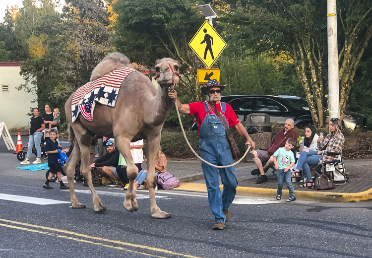 La Center favorite Curly the Camel and Jeff Siebert. Photo by Andi Schwartz