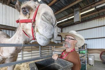 Curly the Camel welcomes all to the opening of the Clark County Fair