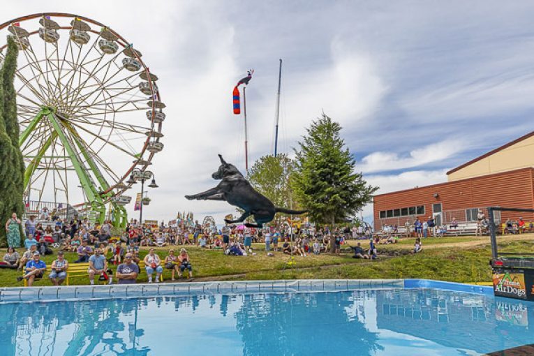 Clark County Fair schedule highlights: Day 2, Aug. 5