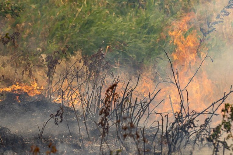 Clark County expands burn ban to include recreational fires