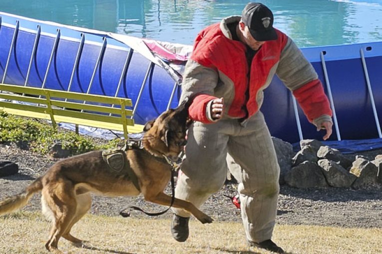 K-9 demonstration shows its teeth at Clark County Fair