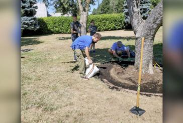 Parker’s Landing Historical Park benefits from an Eagle Scout project