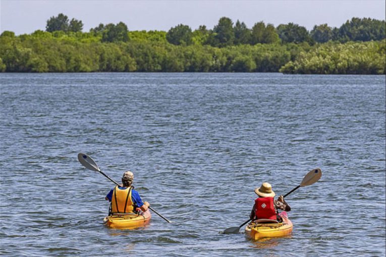 Public Health issues warning for Vancouver Lake due to elevated toxin levels