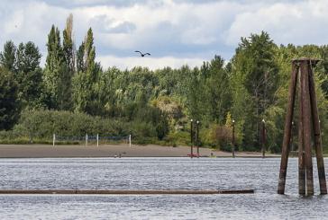 Public Health lifts algae advisory at Vancouver Lake after water quality improves