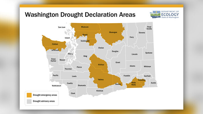 The Department of Ecology declared drought conditions in 12 out of 62 watersheds in Washington state, leading to the availability of $3 million in grant funding to assist communities in managing the impacts of the drought.