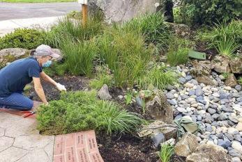 Garden Club Returns to Historical Park stewardship