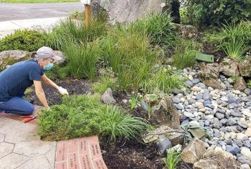 Garden Club Returns to Historical Park stewardship