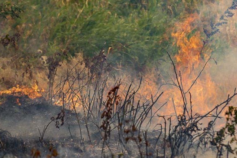 Clark County Interim Fire Marshal lifts ban on recreational fires