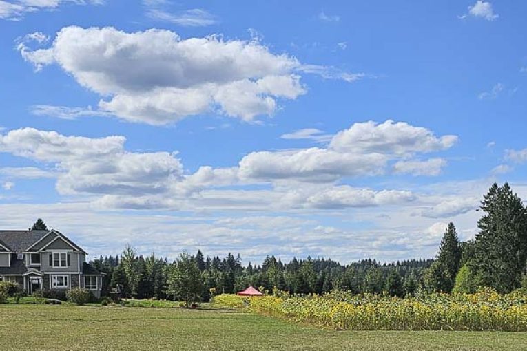 Hockinson Homegrown Highway maps a popular draw