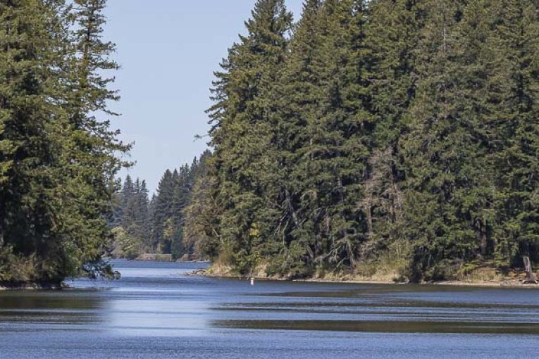 Public Health lifts algae advisory at Lacamas Lake after water quality improves