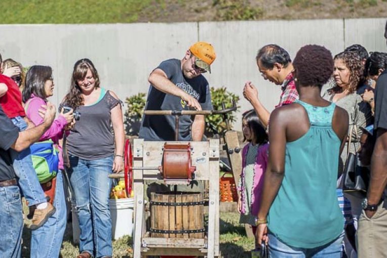 Trees, apples and cider! Vancouver celebrates The Old Apple Tree on Saturday