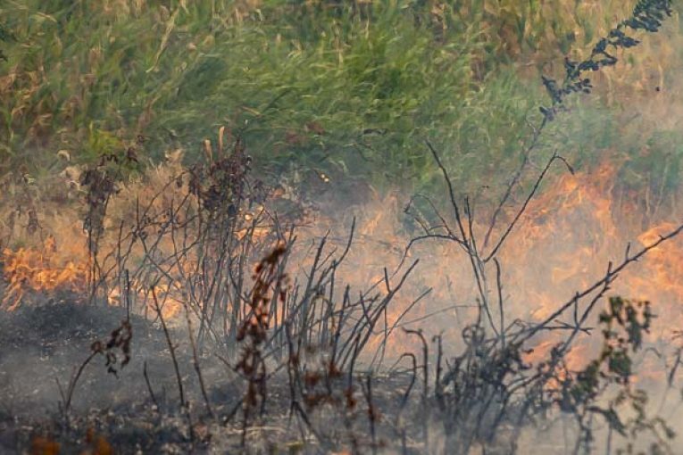 Clark County interim fire marshal lifts county wide burn ban