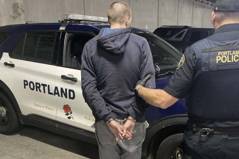 Two Vancouver men arrested in Tesla theft ring