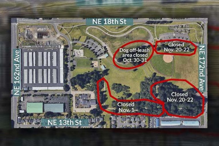 Tree health and maintenance project to close sections of Pacific Community Park in October, November