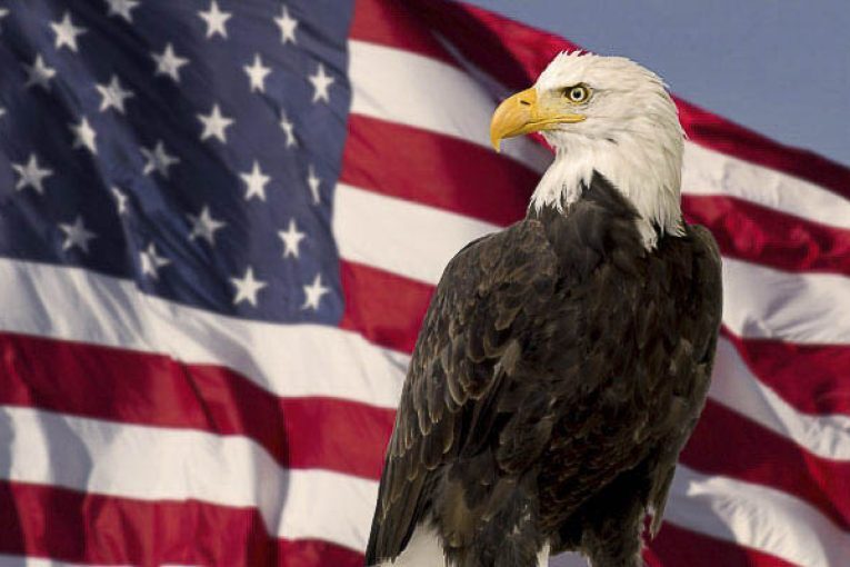 Far-left radicals endorse candidates, but enraged when patriot group does the same