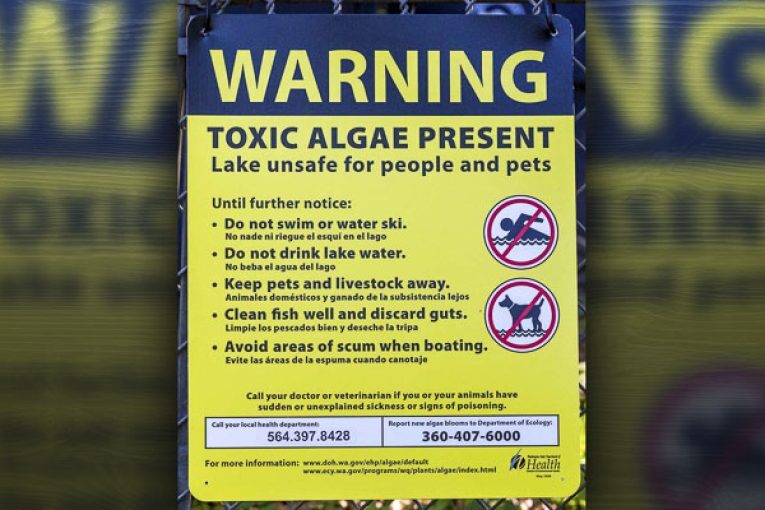 Public Health lifts advisory at Lacamas Lake, concludes seasonal monitoring