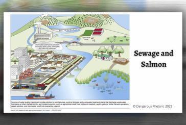 Opinion: Sewage and salmon