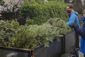 Reduce holiday waste by recycling natural Christmas trees